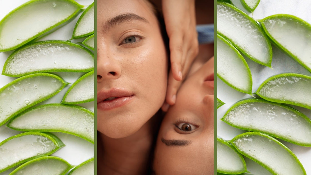 Aloe Vera: The Plant with a Thousand Benefits for the Skin  Milanesi  Skincare